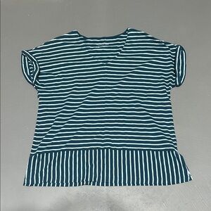 Soft Surroundings Blue Striped Essential Premium Shirt (Women’s Large)